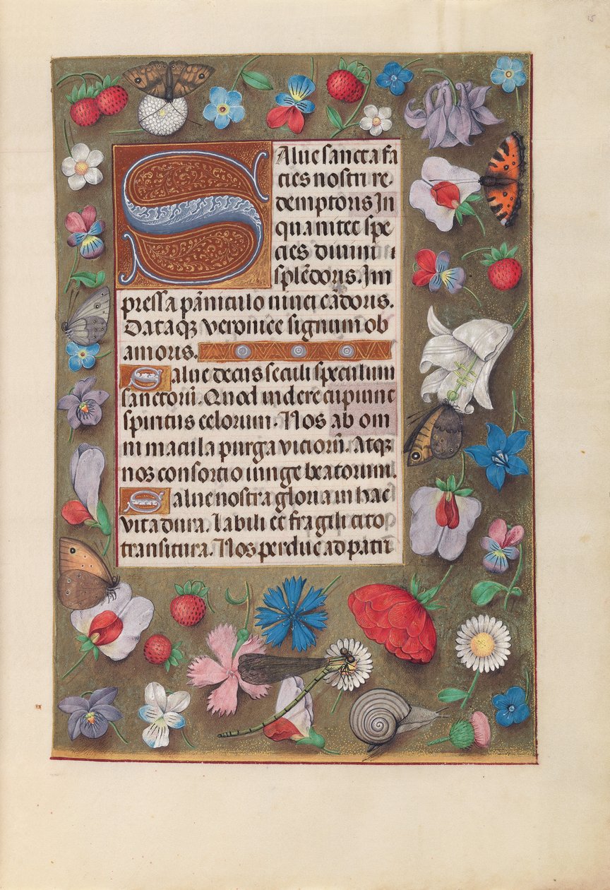 Horas da rainha Isabel, a católica, rainha da Espanha: Fol. 15r, c. 1500. de Master of the First Prayerbook of Maximillian