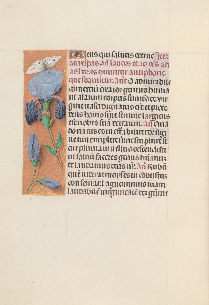Horas da rainha Isabel, a católica, rainha da Espanha: Fol. 165v, c. 1500. de Master of the First Prayerbook of Maximillian