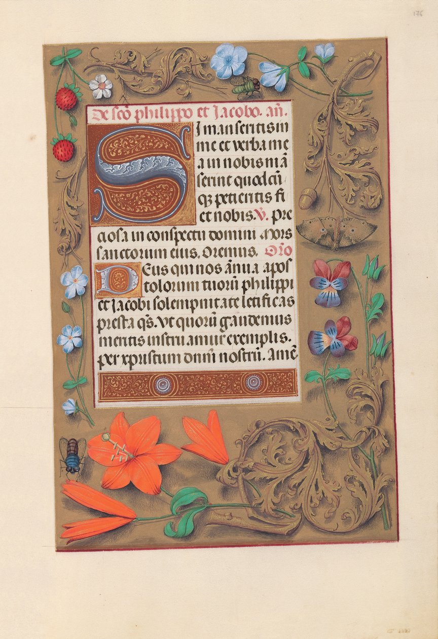 Horas da rainha Isabel, a católica, rainha da Espanha: Fol. 176r, c. 1500. de Master of the First Prayerbook of Maximillian