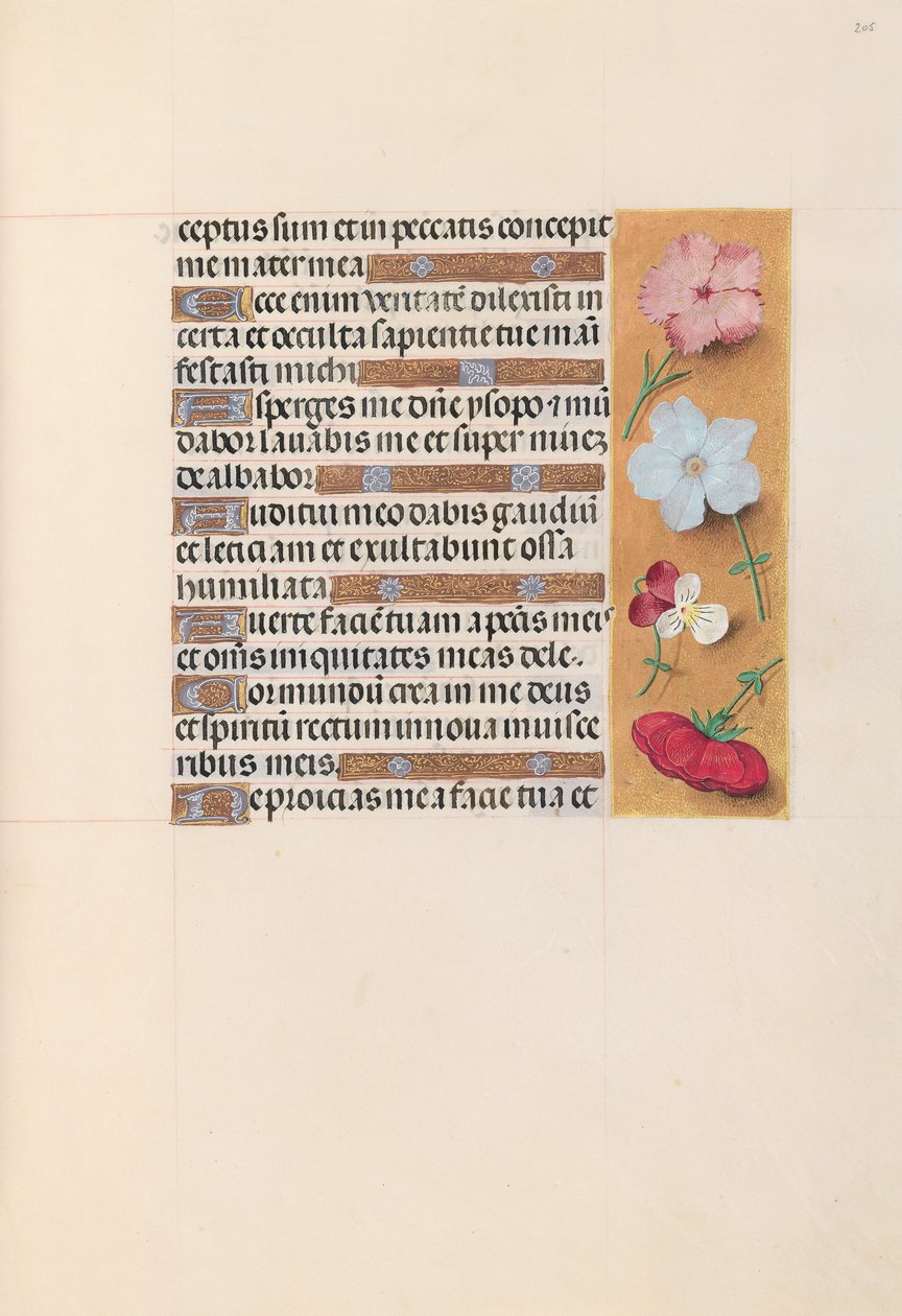 Horas da rainha Isabel, a católica, rainha da Espanha: Fol. 205r, c. 1500. de Master of the First Prayerbook of Maximillian