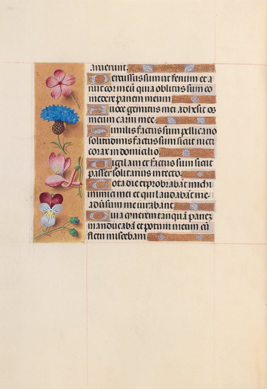 Horas da rainha Isabel, a católica, rainha da Espanha: Fol. 206v, c. 1500. de Master of the First Prayerbook of Maximillian