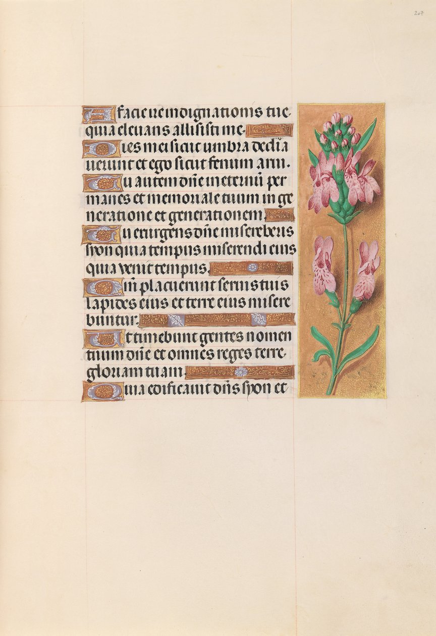 Horas da rainha Isabel, a católica, rainha da Espanha: Fol. 207r, c. 1500. de Master of the First Prayerbook of Maximillian