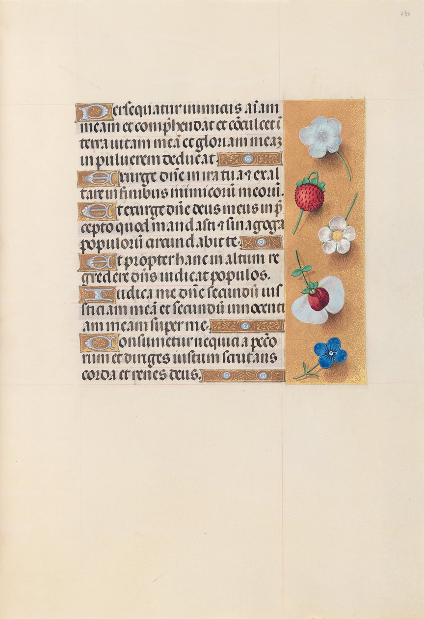 Horas da rainha Isabel, a católica, rainha da Espanha: Fol. 230r, c. 1500. de Master of the First Prayerbook of Maximillian