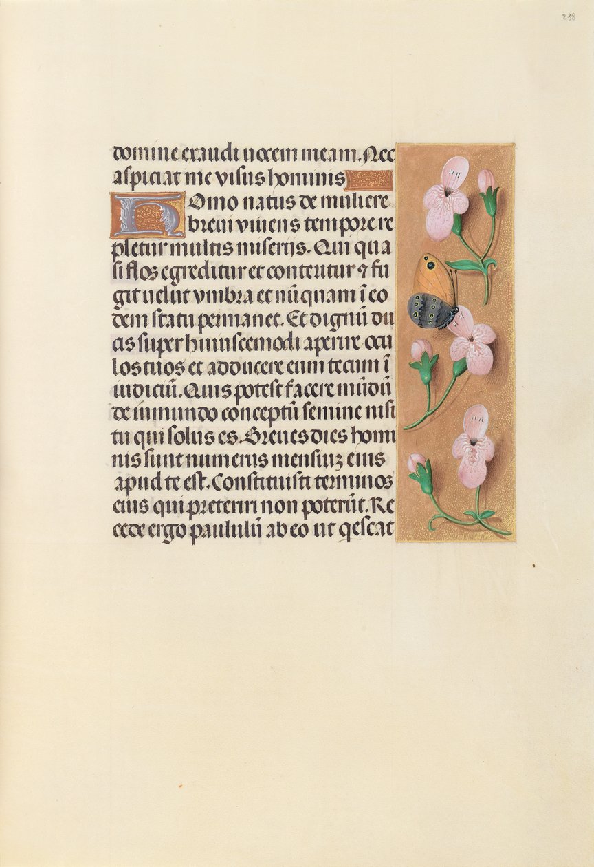 Horas da rainha Isabel, a católica, rainha da Espanha: Fol. 238r, c. 1500. de Master of the First Prayerbook of Maximillian