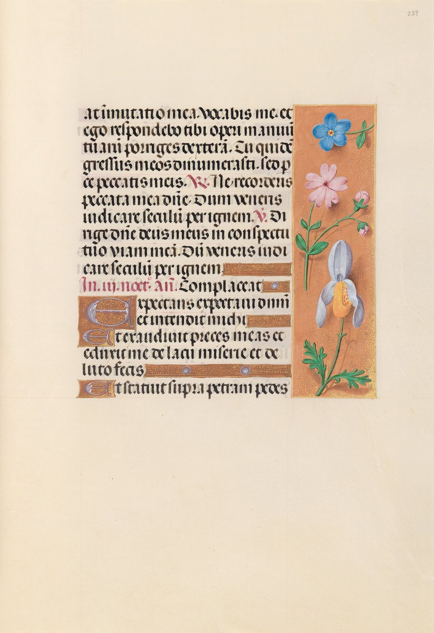 Horas da rainha Isabel, a católica, rainha da Espanha: Fol. 239r, c. 1500. de Master of the First Prayerbook of Maximillian
