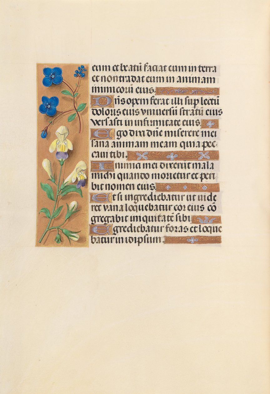 Horas da rainha Isabel, a católica, rainha da Espanha: Fol. 241v, c. 1500. de Master of the First Prayerbook of Maximillian