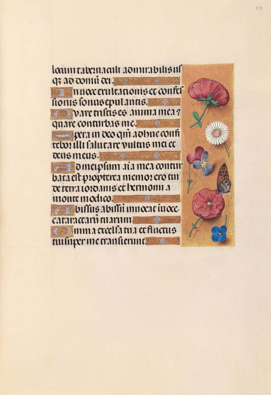 Horas da rainha Isabel, a católica, rainha da Espanha: Fol. 243r, c. 1500. de Master of the First Prayerbook of Maximillian