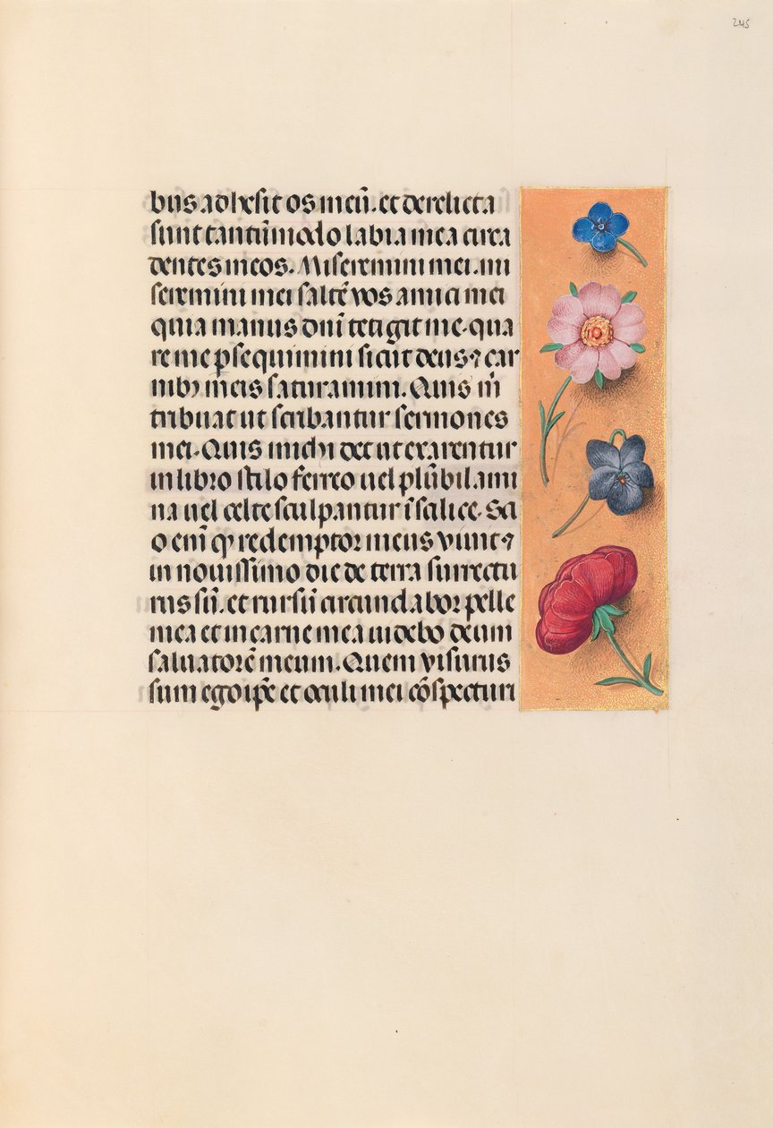 Horas da rainha Isabel, a católica, rainha da Espanha: Fol. 245r, c. 1500. de Master of the First Prayerbook of Maximillian
