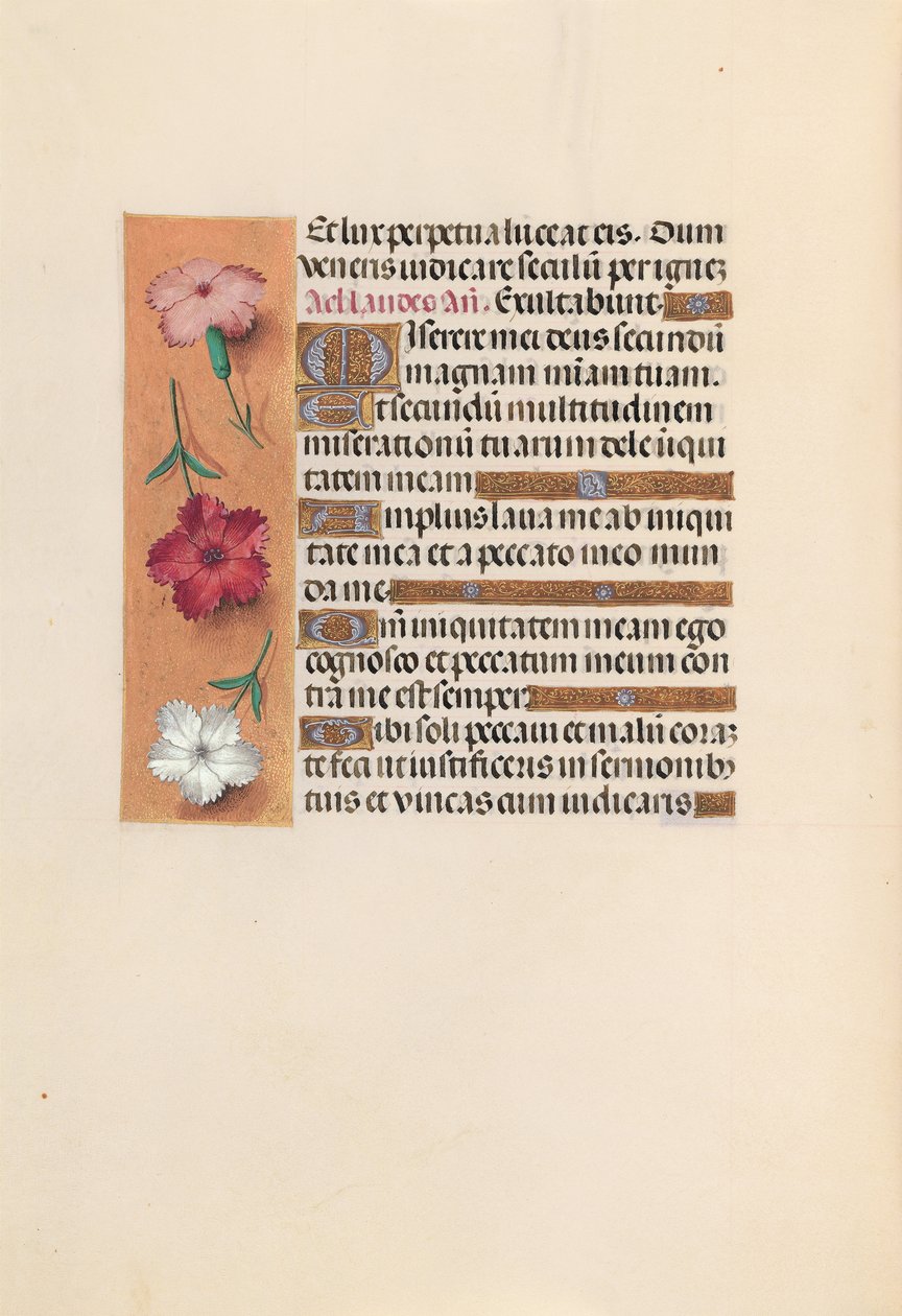 Horas da rainha Isabel, a católica, rainha da Espanha: Fol. 246v, c. 1500. de Master of the First Prayerbook of Maximillian