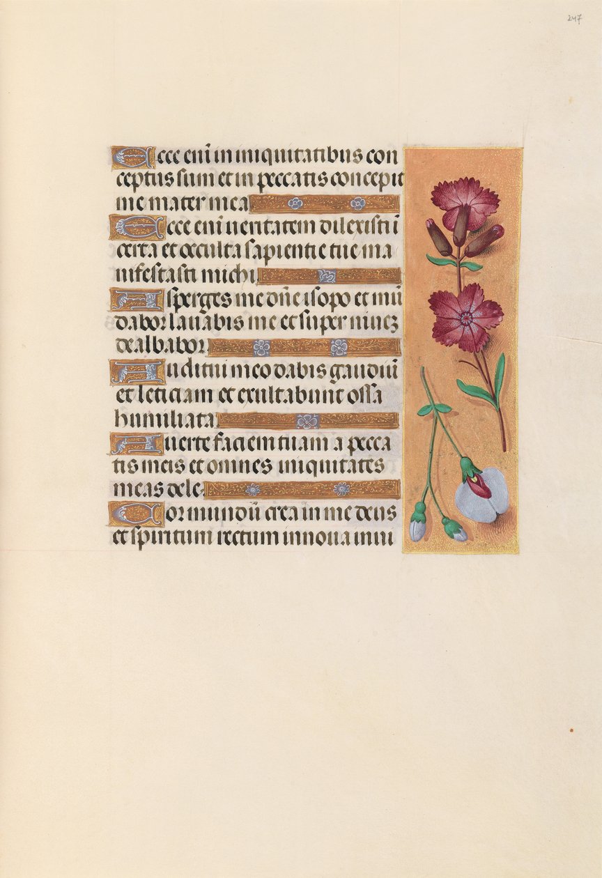 Horas da rainha Isabel, a católica, rainha da Espanha: Fol. 247r, c. 1500. de Master of the First Prayerbook of Maximillian
