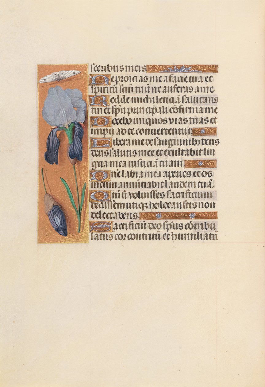 Horas da rainha Isabel, a católica, rainha da Espanha: Fol. 247v, c. 1500. de Master of the First Prayerbook of Maximillian