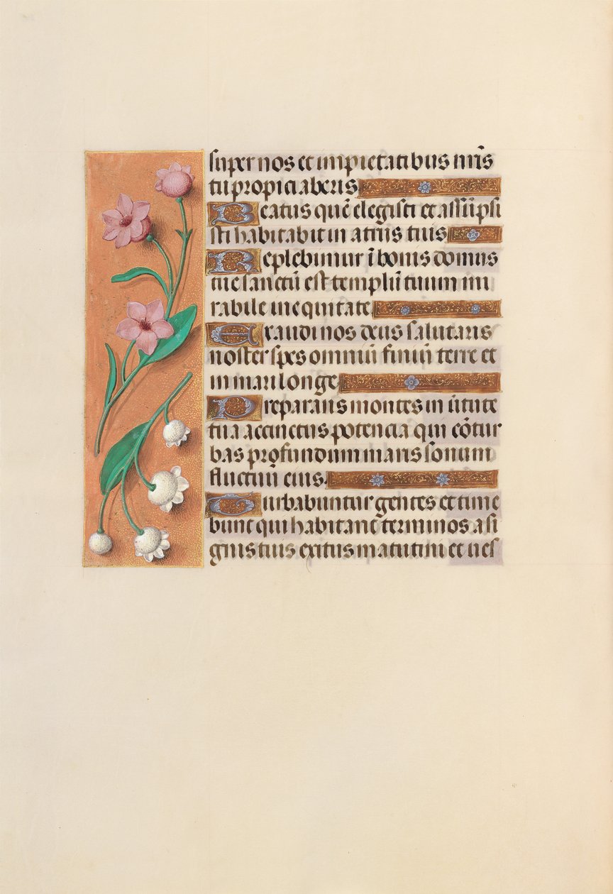 Horas da rainha Isabel, a católica, rainha da Espanha: Fol. 248v, c. 1500. de Master of the First Prayerbook of Maximillian