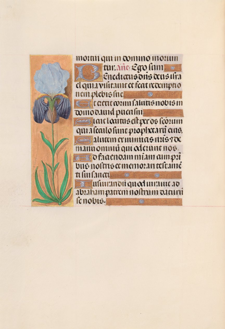 Horas da rainha Isabel, a católica, rainha da Espanha: Fol. 254v, c. 1500. de Master of the First Prayerbook of Maximillian