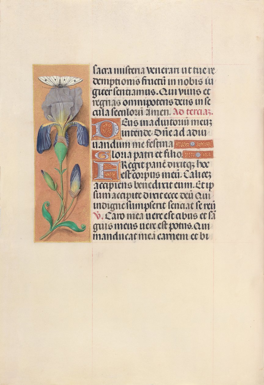Horas da rainha Isabel, a católica, rainha da Espanha: Fol. 45v, c. 1500. de Master of the First Prayerbook of Maximillian