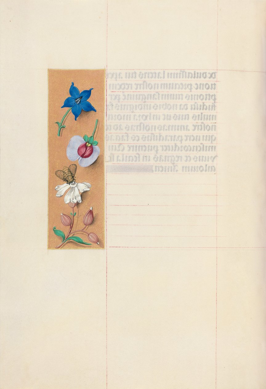 Horas da rainha Isabel, a católica, rainha da Espanha: Fol. 71v, c. 1500. de Master of the First Prayerbook of Maximillian