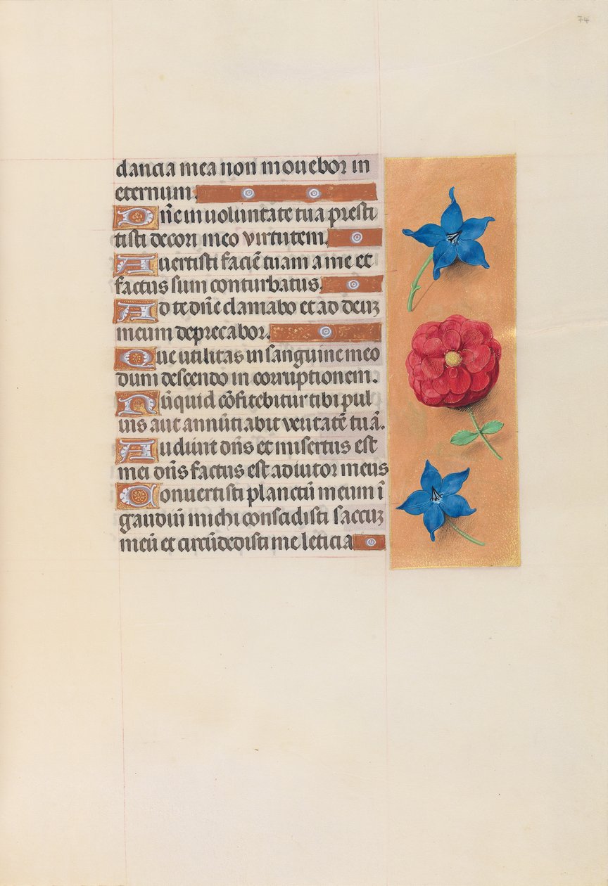 Horas da rainha Isabel, a católica, rainha da Espanha: Fol. 74r, c. 1500. de Master of the First Prayerbook of Maximillian