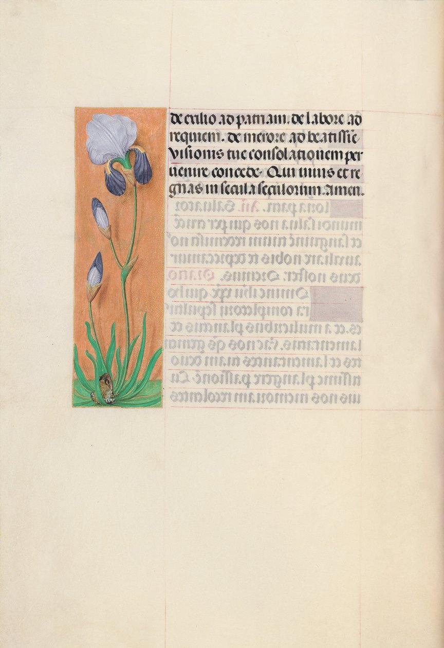 Horas da rainha Isabel, a católica, rainha da Espanha: Fol. 79v, c. 1500. de Master of the First Prayerbook of Maximillian