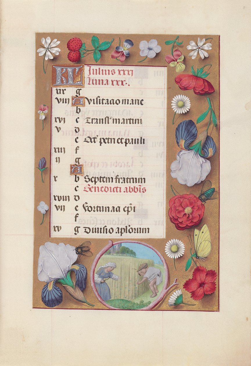 Horas da rainha Isabel, a católica, rainha da Espanha: Fol. 8 de julho - Colheita de trigo, c. 1500. de Master of the First Prayerbook of Maximillian