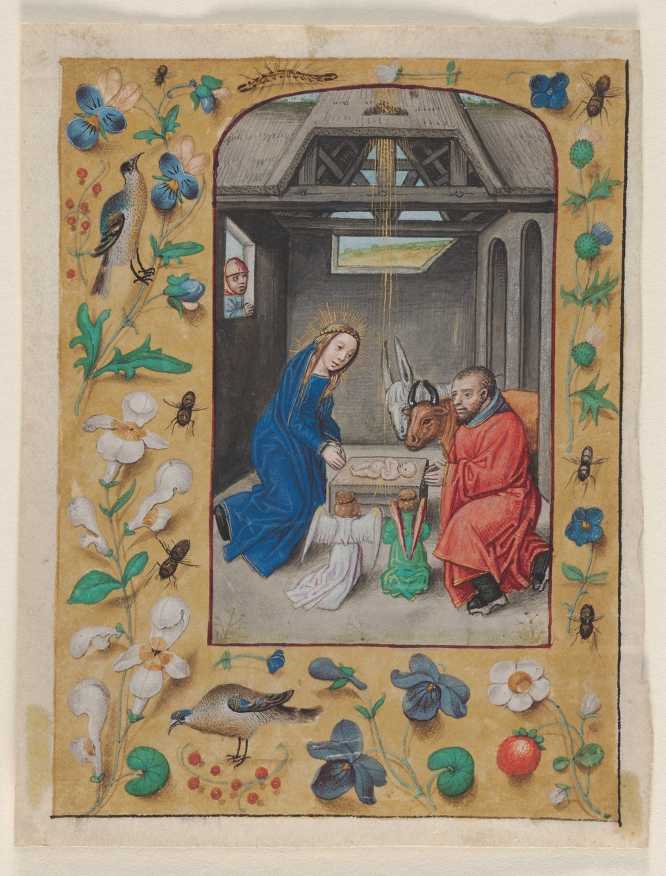 Folha extraída de um livro de horas: A Natividade, c. 1480 (tinta, têmpera e ouro líquido sobre velino) de Master of the First Prayerbook of Maximillian
