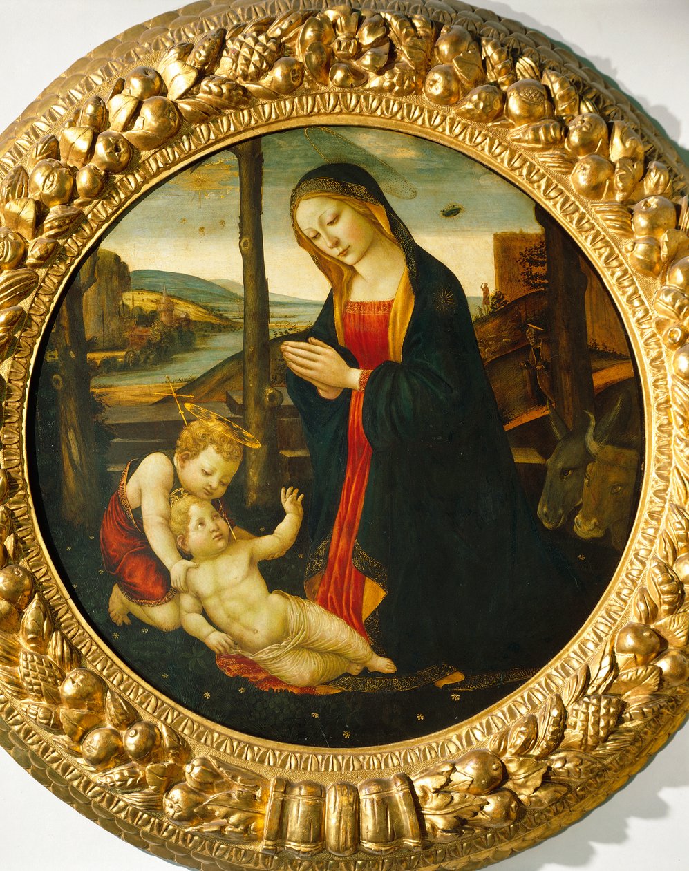 Madonna and Child with St. John (óleo no painel) de Master of the Miller Tondo (attr. to)