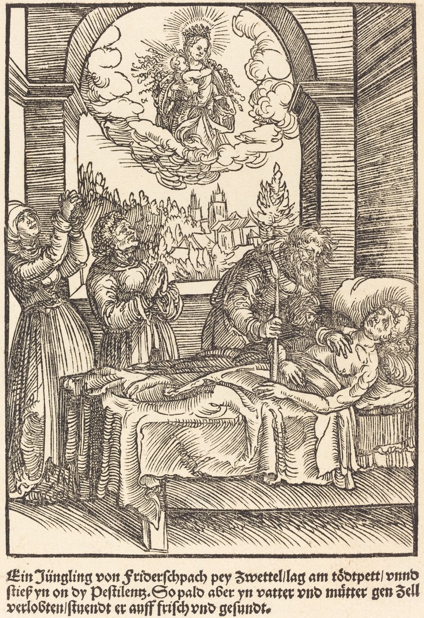 Um filhote de Friderschpach... de Master of the Miracles of Mariazell