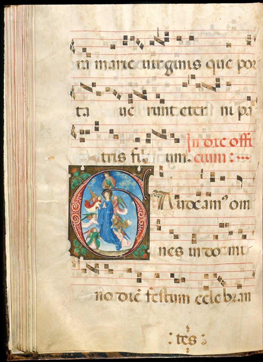Assunção da Virgem, f.72v de um gradual, final do século XV (tinta, tempera e folha de ouro sobre pergaminho) de Master of the Saluces Hours (attr. to)