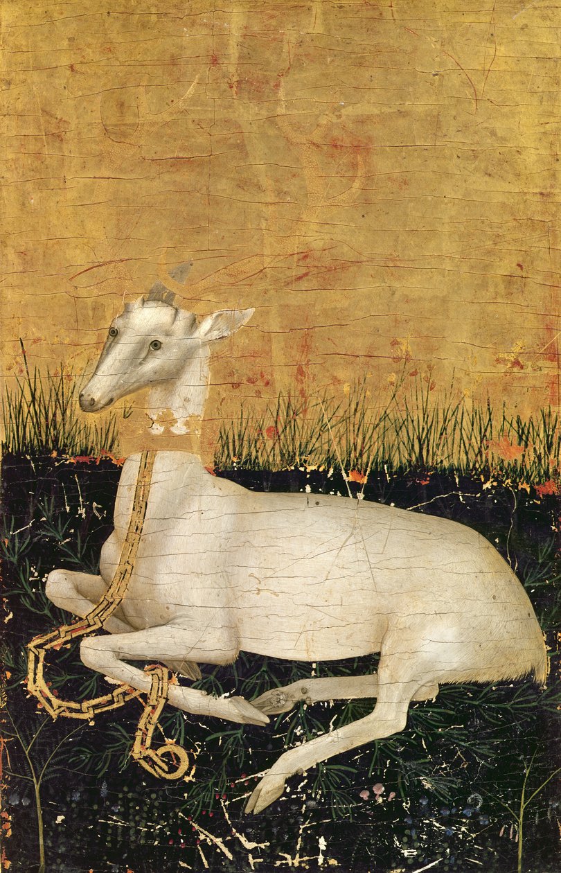 White Hart, de &39;The Wilton Diptych&39; c.1395-99 (tempera de ovo em carvalho) (verso) de Master of the Wilton Diptych
