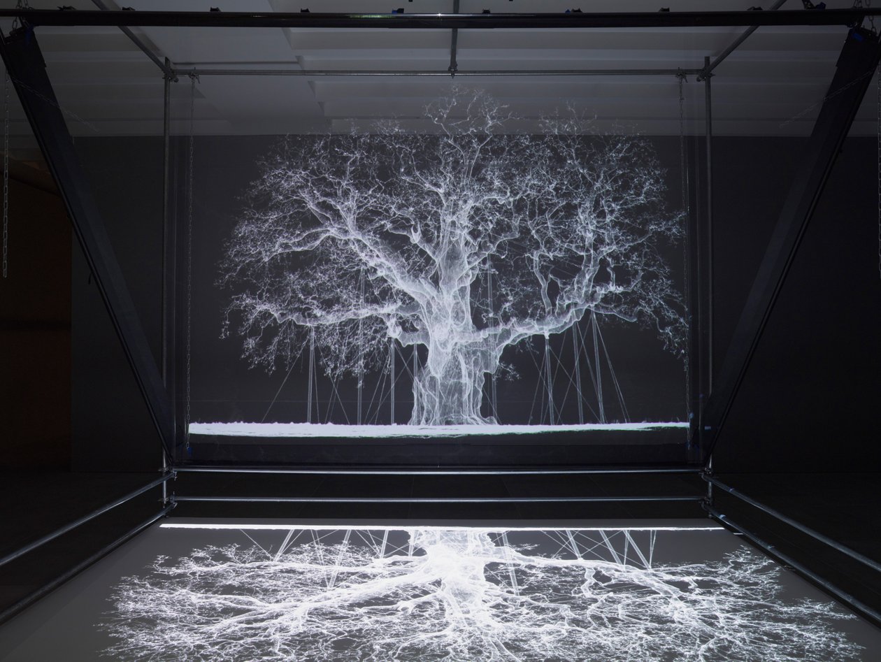 Albion, 2017 (Projetor, leitor multimédia, andaime, película transparente, madeira, tinta, espelho, acessórios de alongamento) de Mat Collishaw