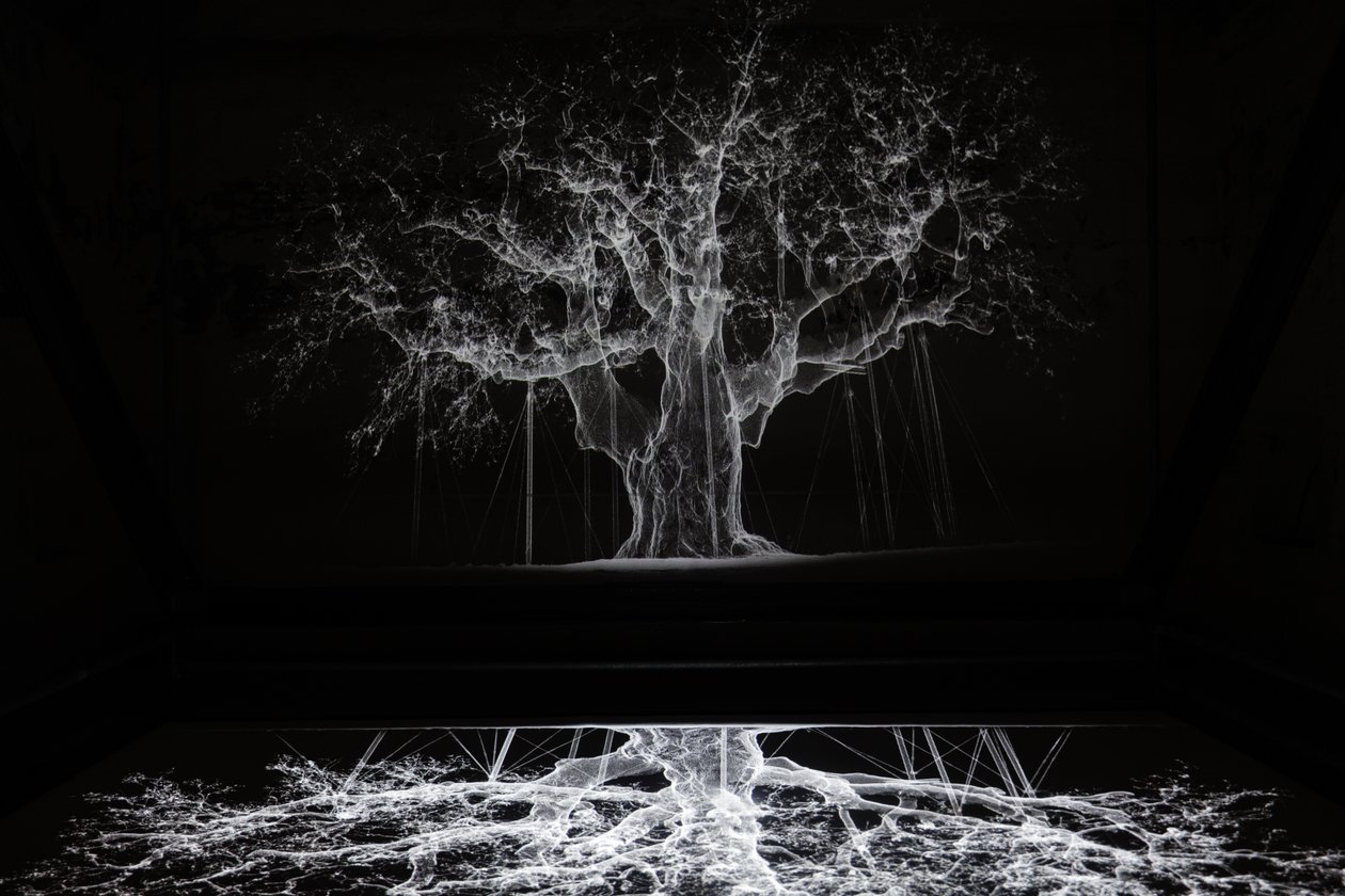 Albion, 2017 (Projetor, leitor multimédia, andaime, película transparente, madeira, tinta, espelho, acessórios de alongamento) de Mat Collishaw