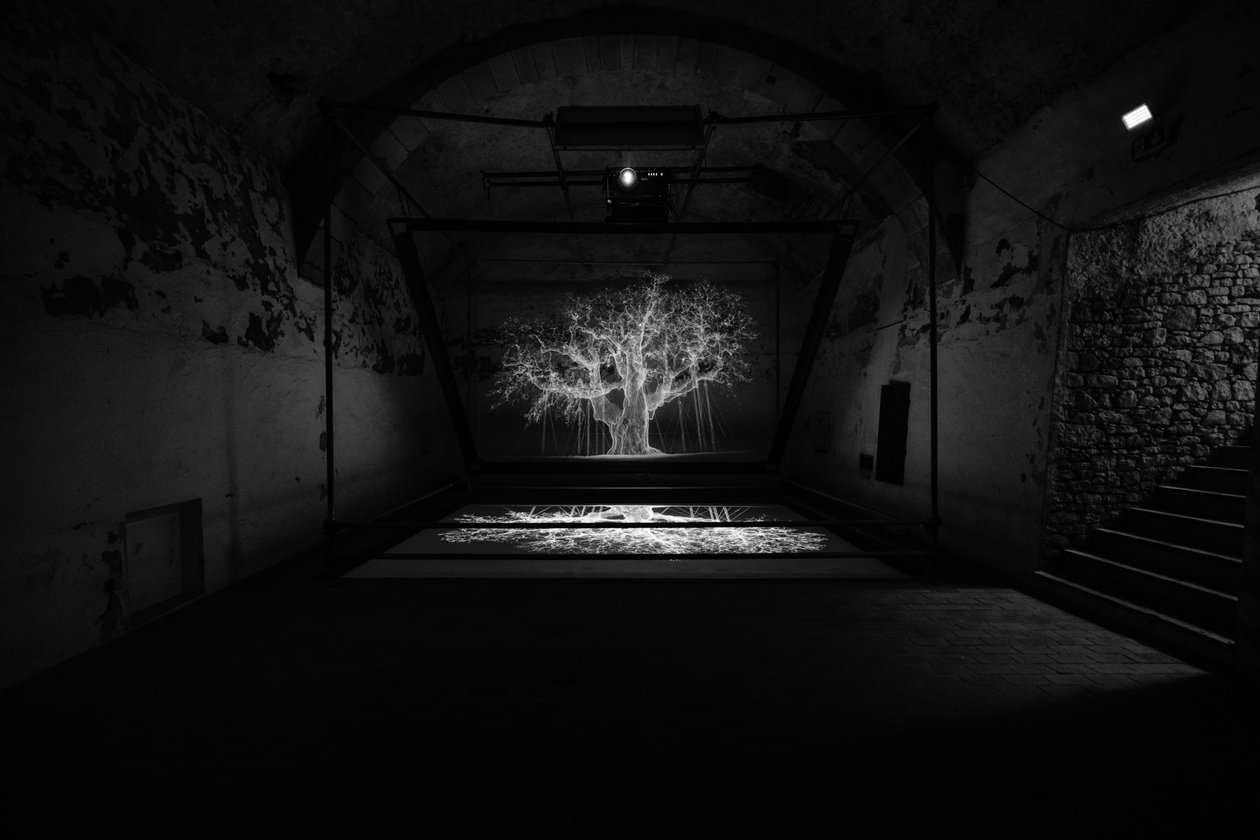 Albion, 2017 (Projetor, leitor multimédia, andaime, película transparente, madeira, tinta, espelho, acessórios de alongamento) de Mat Collishaw