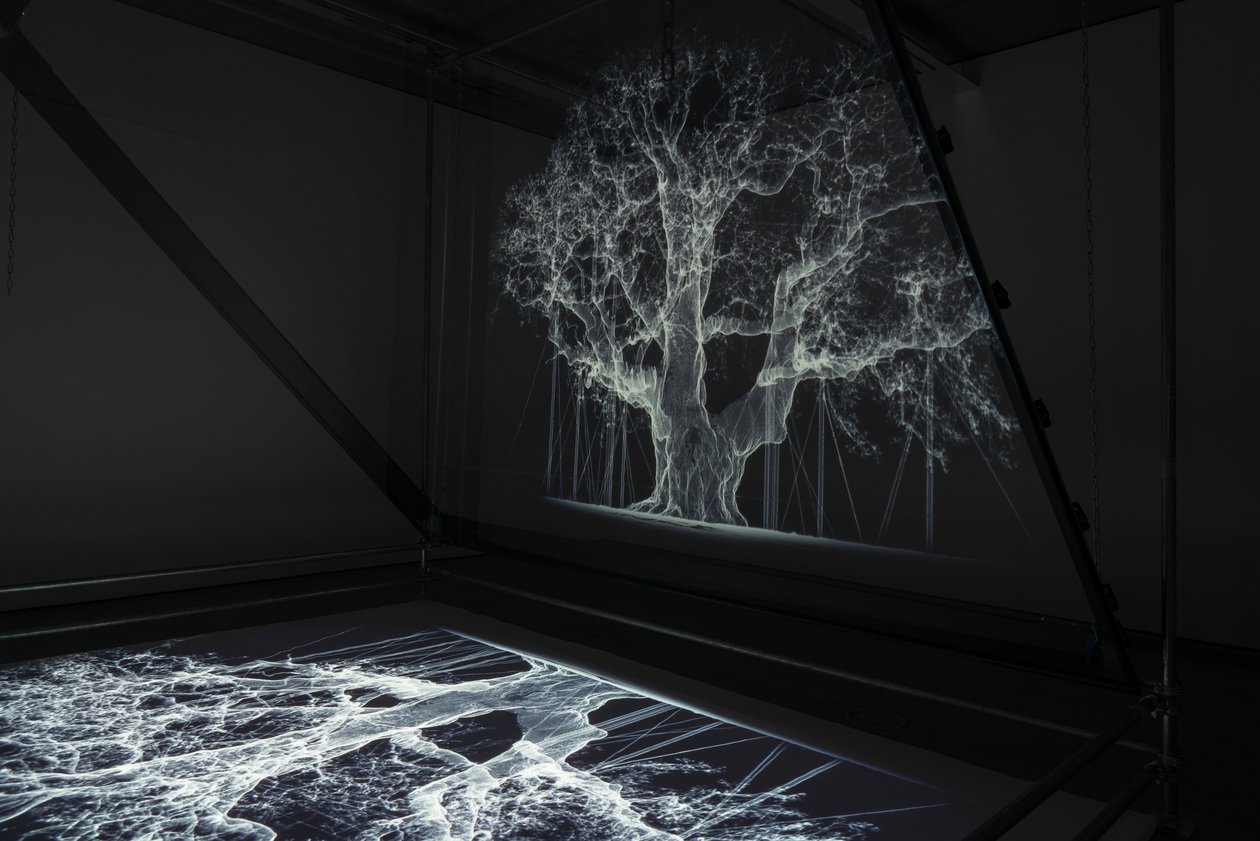 Albion, 2017 (Projetor, leitor multimédia, andaime, película transparente, madeira, tinta, espelho, acessórios de alongamento) de Mat Collishaw