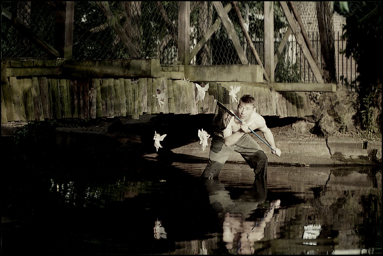 Apanhar fadas 3 de Mat Collishaw