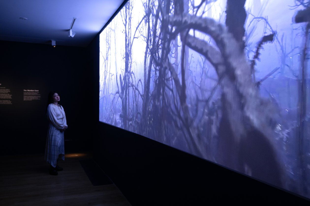 Even to the End, na exposição "Petrichor" de Mat Collishaw em Kew Gardens, Londres, 2023 (foto) de Mat Collishaw