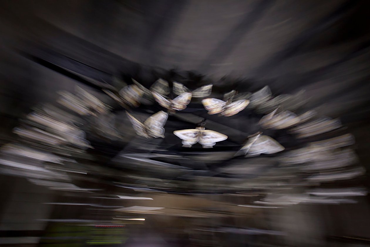 Magic Lantern, 2010 (Estrutura de aço, chapa de alumínio perfurada, resina expandida, luzes LED, motor) de Mat Collishaw