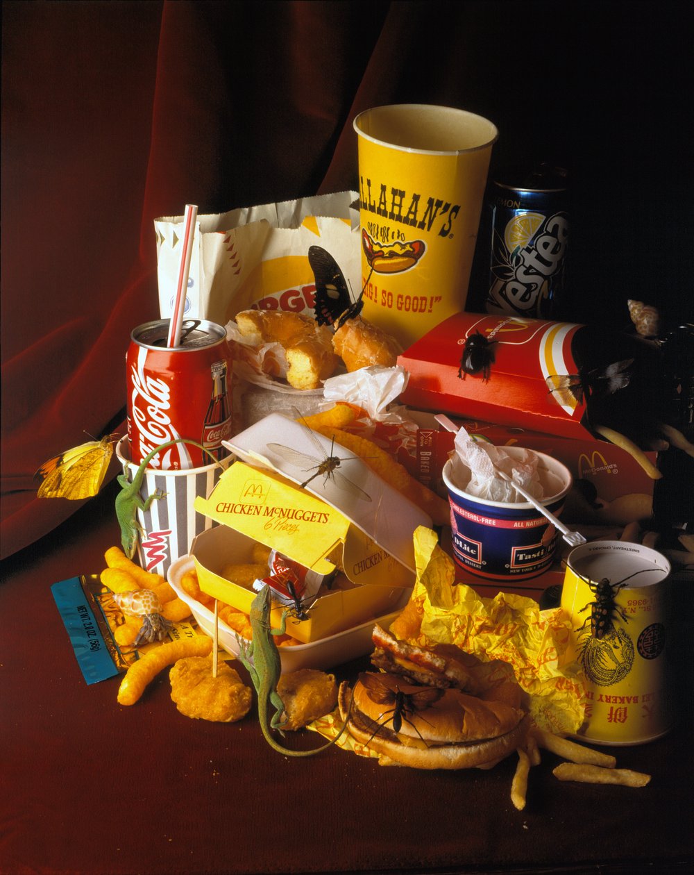 Natura Morte 2 de Mat Collishaw
