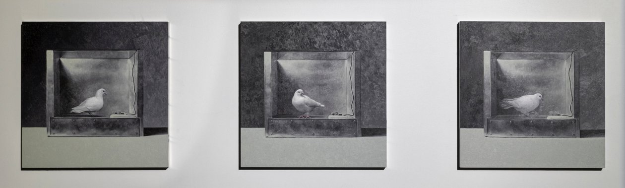 Câmara de condicionamento operante 3, 2022 (óleo sobre painel de alumínio) de Mat Collishaw