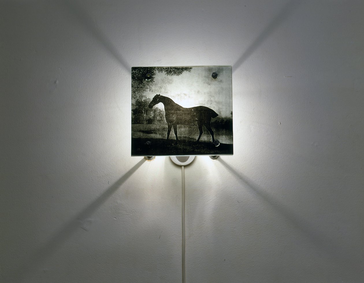 Cavalos Stubbs de Mat Collishaw