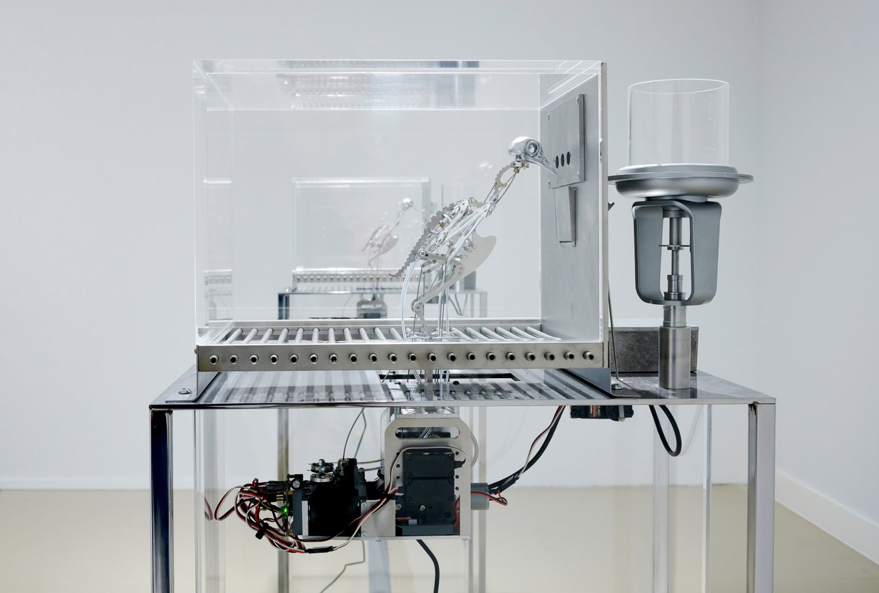 The Machine Zone, 2019 (aço, alumínio, servomotores) de Mat Collishaw