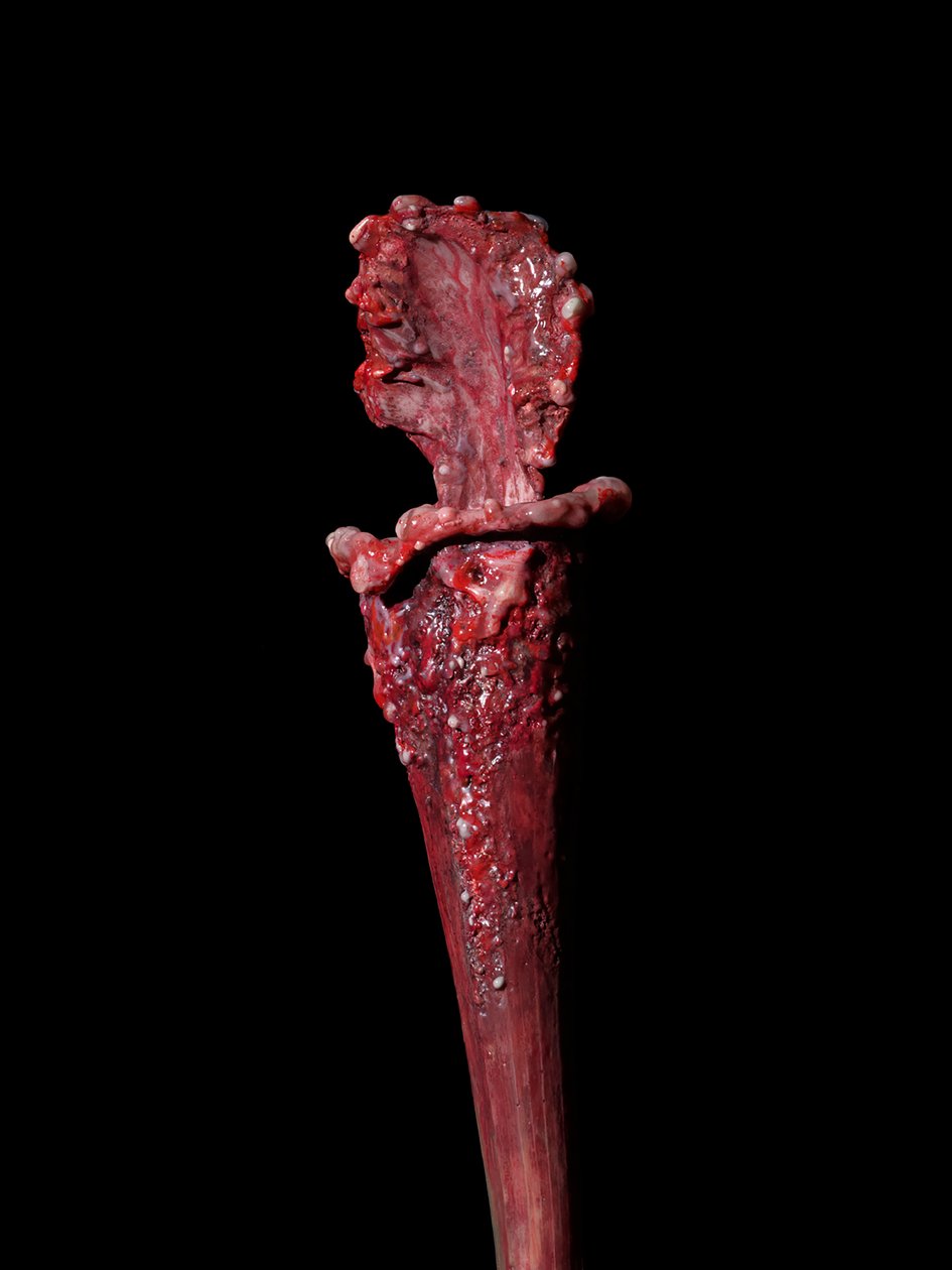 The Venal Muse, Fenside, 2012 (Resina, tinta de esmalte, madeira, vidro, aço) de Mat Collishaw
