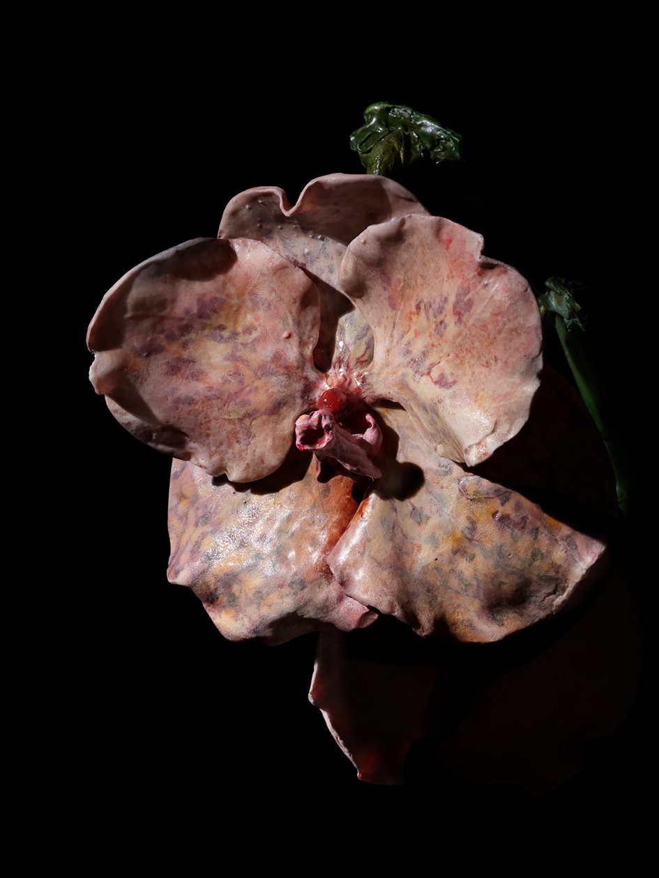 Musa Venal, Impetus, 2012 (Resina, tinta de esmalte, madeira, vidro, aço) de Mat Collishaw