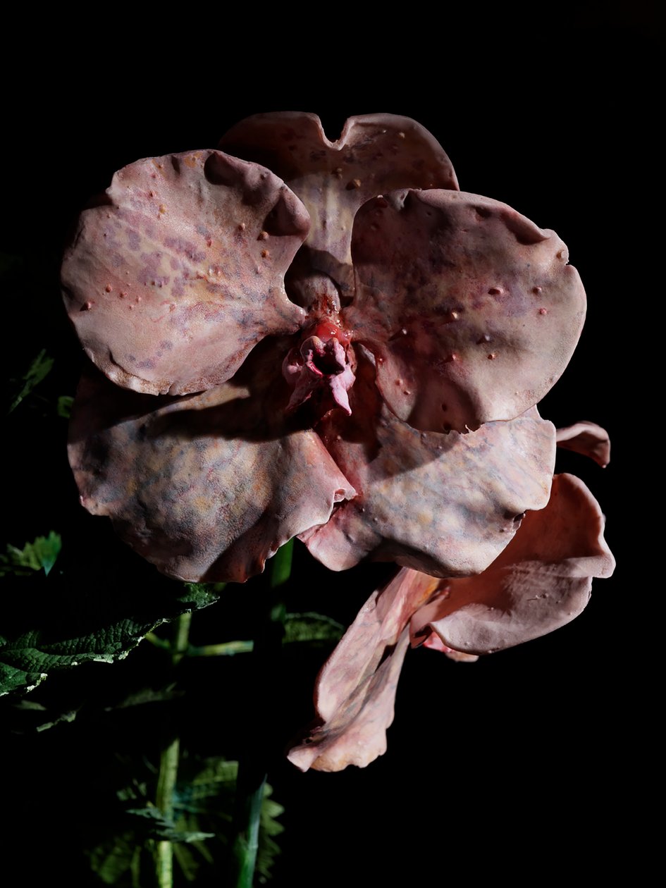 Musa Venal, Impetus, 2012 (Resina, tinta de esmalte, madeira, vidro, aço) de Mat Collishaw