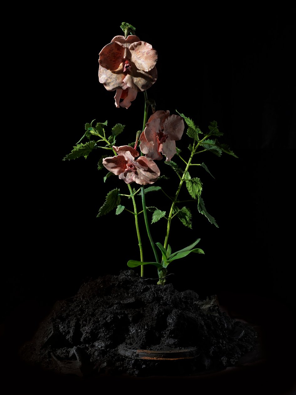 Musa Venal, Impetus, 2012 (Resina, tinta de esmalte, madeira, vidro, aço) de Mat Collishaw