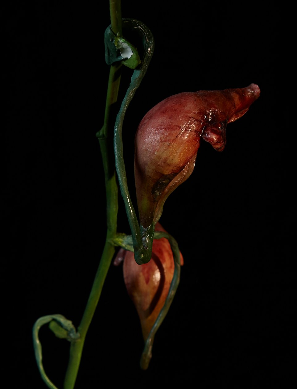 Musa Venal, Lafage, 2012 (Resina, tinta de esmalte, madeira, vidro, aço) de Mat Collishaw