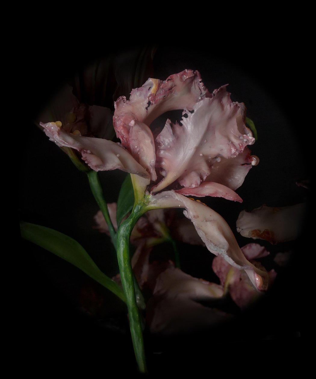 Musa Venal, Viridor, 2012 (Resina, tinta de esmalte, madeira, vidro, aço) de Mat Collishaw