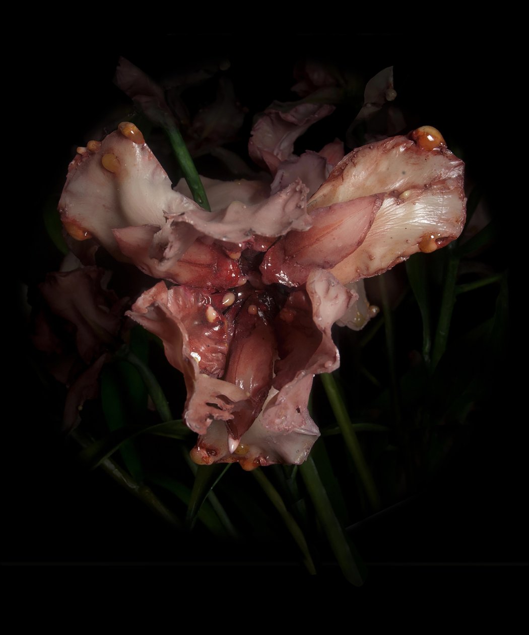 Musa Venal, Viridor, 2012 (Resina, tinta de esmalte, madeira, vidro, aço) de Mat Collishaw