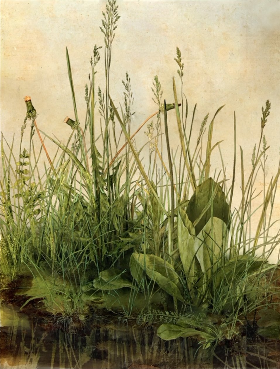 Whispering Weeds, 2011 (Moldura de madeira, rebordo, ecrã LCD, ventoinha e disco rígido) de Mat Collishaw