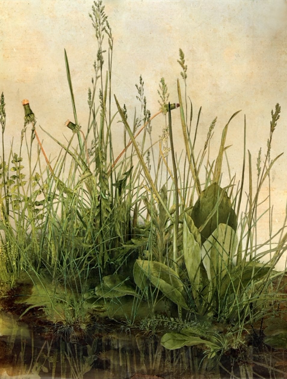 Whispering Weeds, 2011 (Moldura de madeira, rebordo, ecrã LCD, ventoinha e disco rígido) de Mat Collishaw