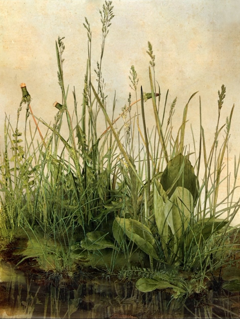 Whispering Weeds, 2011 (Moldura de madeira, rebordo, ecrã LCD, ventoinha e disco rígido) de Mat Collishaw