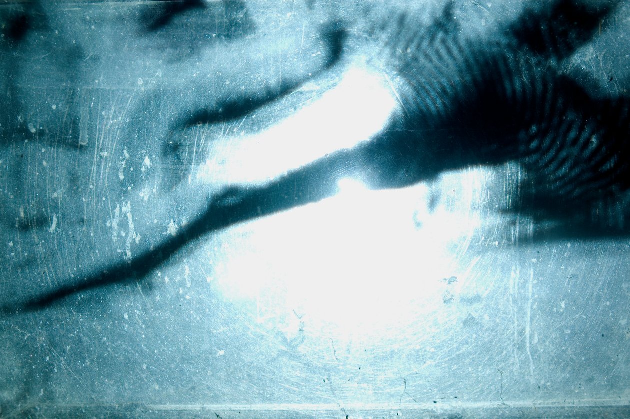 Wormery, 2009 (Madeira, vidro, aço, projetor e leitor) de Mat Collishaw