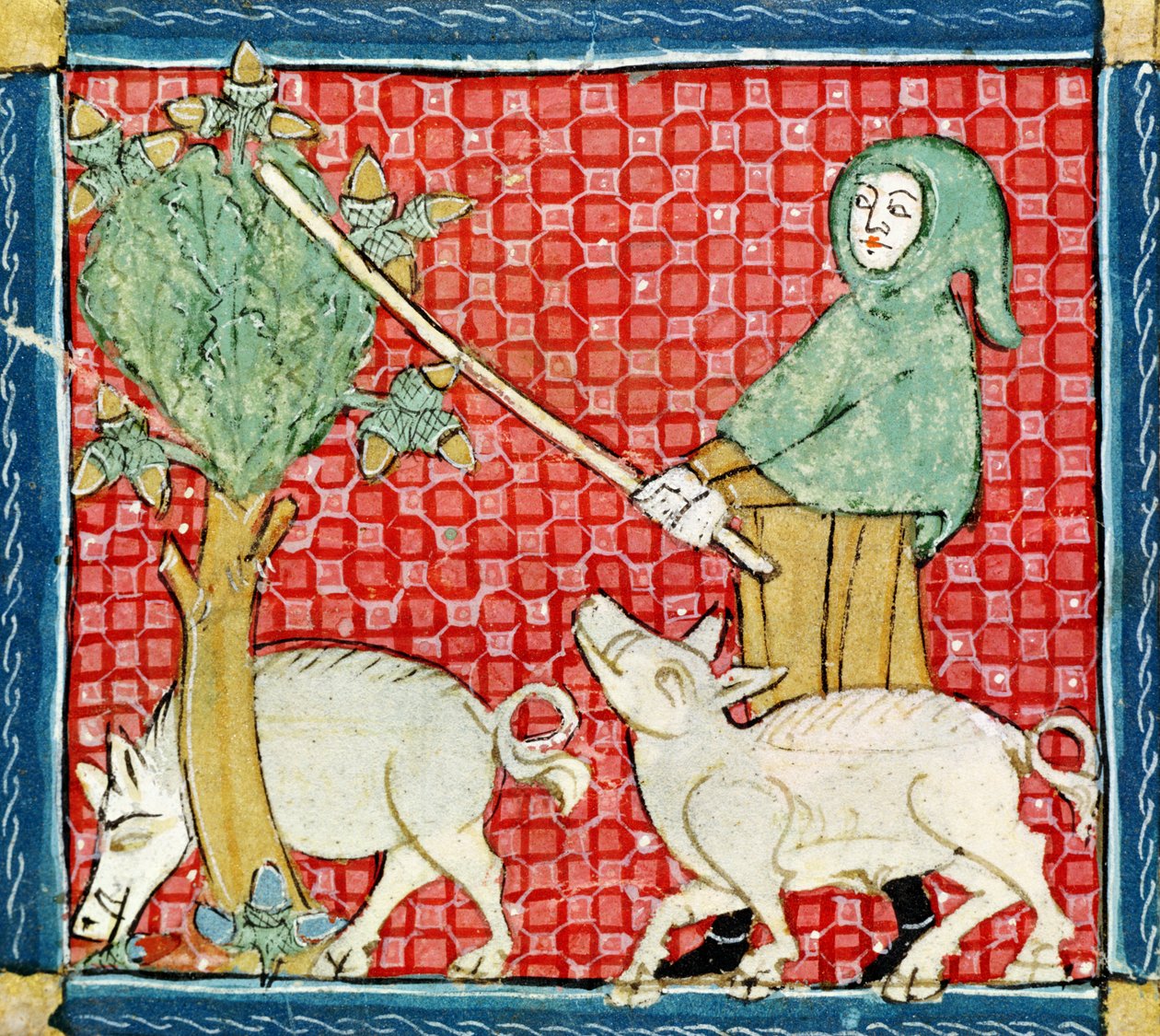 Fol.59v novembro: coleta de bolotas de Matfre Ermengaut